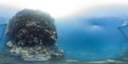 0150242037
