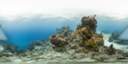 0200301289