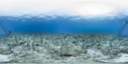 0240212720